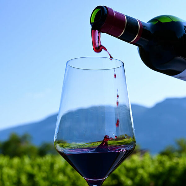 Le renouveau des vins du Sud Ouest