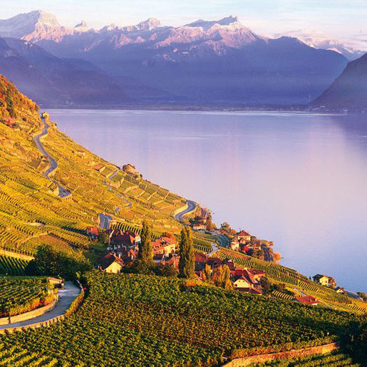 Soirée Dégustation Tast'Emoi : les vins de l'Arc Alpin