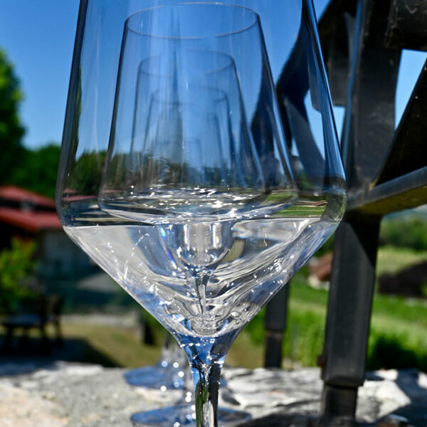 le vignoble face au réchauffement