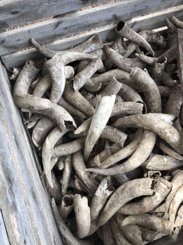 19/09/2024 - La biodynamie, le retour du bon sens paysan