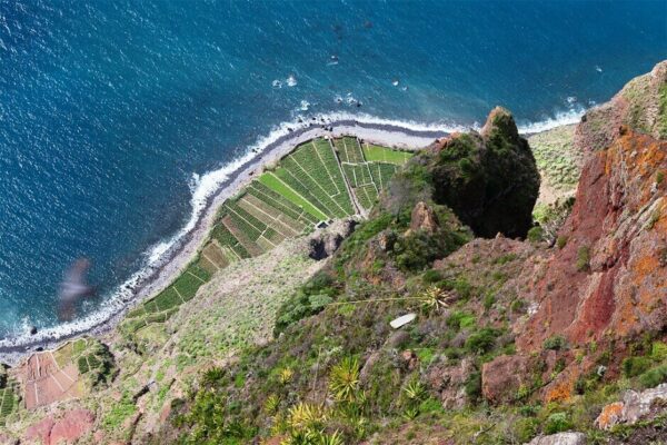01/10/2024 - Vins insulaires, pépites au milieu de la mer