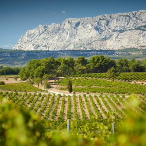 Soirée Dégustation Tast'Emoi : Vins d'auteurs de Provence