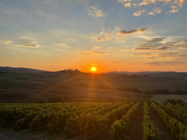 10/09/2024 - Les vins de Toscane, une mozaïque de terroirs