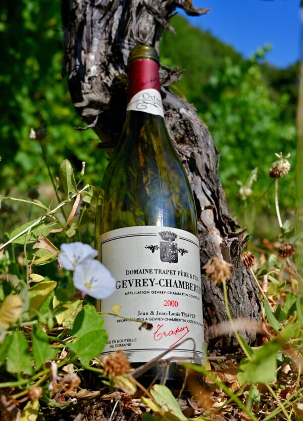 06/02/2025 - Les vins rouge de Bourgogne