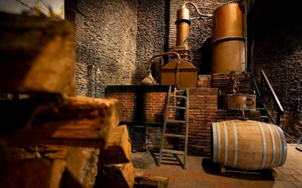 17/04/2025 - Cognacs et Armagnacs, les perles des spiritueux français