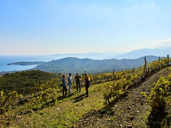 27/05/2025 - La Catalogne, 2 pays et 2 visions du vin