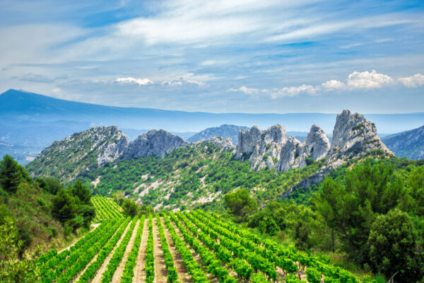 06/05/2025 - Gigondas et Vacqueyras, duel au pied des Dentelles de Montmirail