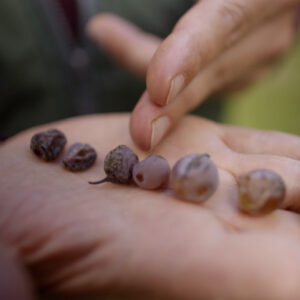 Soirée Tast'Emoi : Les Vins Doux, trésors de la viticulture
