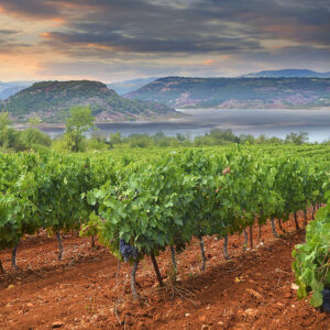 Soirée Tast'Emoi : AOP communales du Languedoc