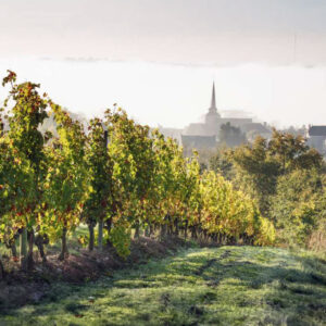 Soirée Tast'Emoi : La Loire, réservoir de talents